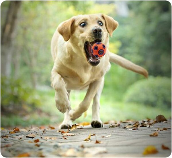 Andiker Dog Ball, Interactive Dog Toy with Bell, Rubber Ball, Dog Balls Bouncy Ball, Pet Sports Games Intelligence Ball, IQ Bite Resistant Toy for Pet Chew Toy (S, Blue)