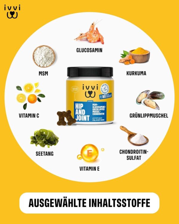 ivvi Hip & Joint - Highly Concentrated Joint Tablets for Dogs as Treats with Green-Lipped Mussel Dog, Glucosamine, Chondroitin & MSM - 60 Delicious Snacks (270 g) with Chicken