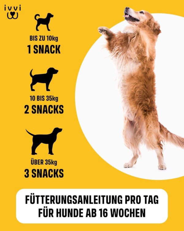 ivvi Hip & Joint - Highly Concentrated Joint Tablets for Dogs as Treats with Green-Lipped Mussel Dog, Glucosamine, Chondroitin & MSM - 60 Delicious Snacks (270 g) with Chicken