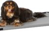 Amazon Basics Raised Pet Bed with Cooling Effect