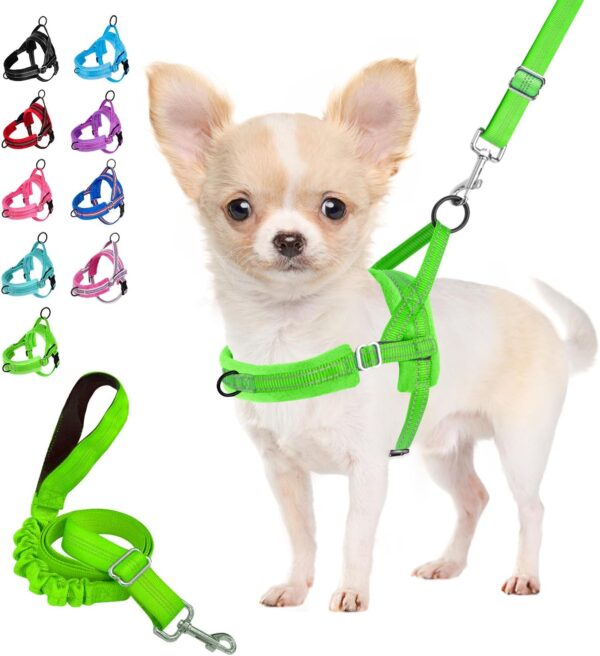 Eyein No-Pull Dog Harness with Lead, Soft Padded Reflective Adjustable Chest Harness for Puppies, Small Dogs, Large Dogs, Pets, Cats (Green, S)