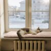 Pet Prime Cat Window Lounger - Cat Bed Fluffy Window Sill Sleeping Place with Non-Slip Underside, Quiet Cushion, 2 Removable Covers (Mesh & Plush), 90 x 29 cm for Cosy Sun and Sleep