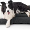 BEDSURE Washable Dog Cushion for Large Dogs - Thin Dog Beds, Medium and Large Dogs, Soft and Comfortable Dog Mat with Non-Slip Underside, 104 x 69 cm, Dark Grey