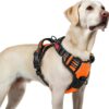 rabbitgoo Dog Harness for Large Dogs, Adjustable Dog Harness without Pull & Choking, Anti-Pull Dog Harness with Handle, Soft Padded Reflective Chest Harness, Orange, L