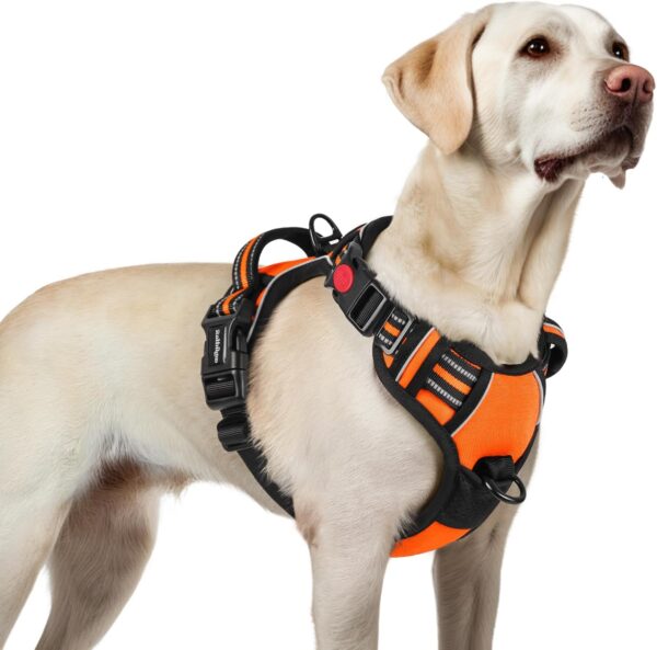 rabbitgoo Dog Harness for Large Dogs, Adjustable Dog Harness without Pull & Choking, Anti-Pull Dog Harness with Handle, Soft Padded Reflective Chest Harness, Orange, L