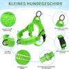 Eyein No-Pull Dog Harness with Lead, Soft Padded Reflective Adjustable Chest Harness for Puppies, Small Dogs, Large Dogs, Pets, Cats (Green, S)