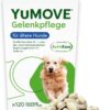 YuMOVE Green-lipped Mussel Dog Joint Tablets - 120 Tablets - For Older Dogs from 8 Years - Mobility and Joint Function - Joint Tablets Dog - For Dogs with Omega-3 and Vitamin E