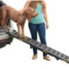 Pet Gear Travel Lite Tri-Fold Reflective Ramp