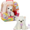 71IkSSHzgPL._AC_SL1500_.jpg Little Live Pets My Really Real Puppy - Luna; Interactive Puppy; 60+ Sounds/Reactions; Realistic Look; 1 out of 72 Variations; Playset with Transport Box; Batteries Included; Ages 5+