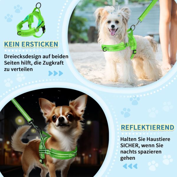 Eyein No-Pull Dog Harness with Lead, Soft Padded Reflective Adjustable Chest Harness for Puppies, Small Dogs, Large Dogs, Pets, Cats (Green, S)