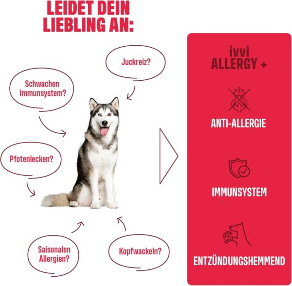 ivvi Allergy Immunity for Dogs - Against Allergies & Itching and Strengthening the Immune System - 60 Delicious Snacks (270 g) with Salmon