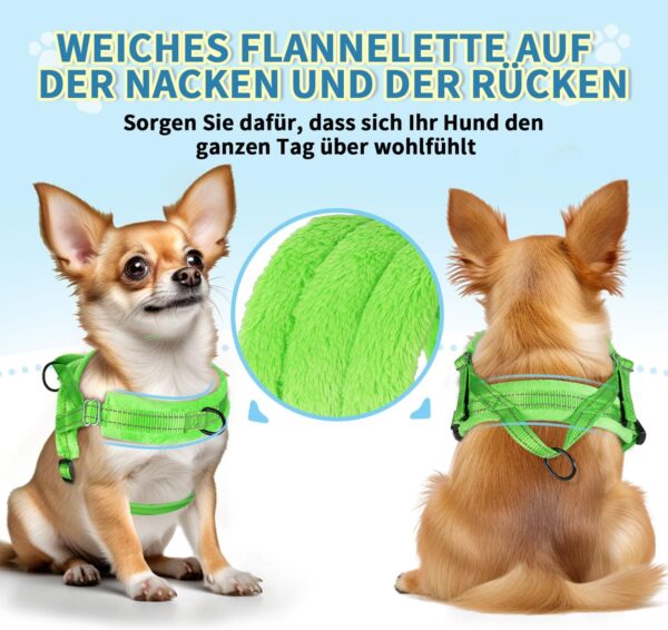Eyein No-Pull Dog Harness with Lead, Soft Padded Reflective Adjustable Chest Harness for Puppies, Small Dogs, Large Dogs, Pets, Cats (Green, S)