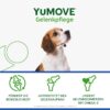 YuMOVE Green-lipped Mussel Dog Joint Tablets - 120 Tablets - For Older Dogs from 8 Years - Mobility and Joint Function - Joint Tablets Dog - For Dogs with Omega-3 and Vitamin E