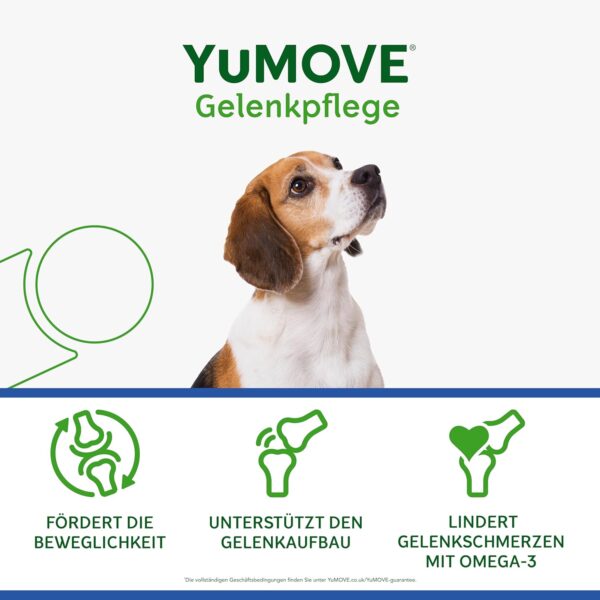 YuMOVE Green-lipped Mussel Dog Joint Tablets - 120 Tablets - For Older Dogs from 8 Years - Mobility and Joint Function - Joint Tablets Dog - For Dogs with Omega-3 and Vitamin E
