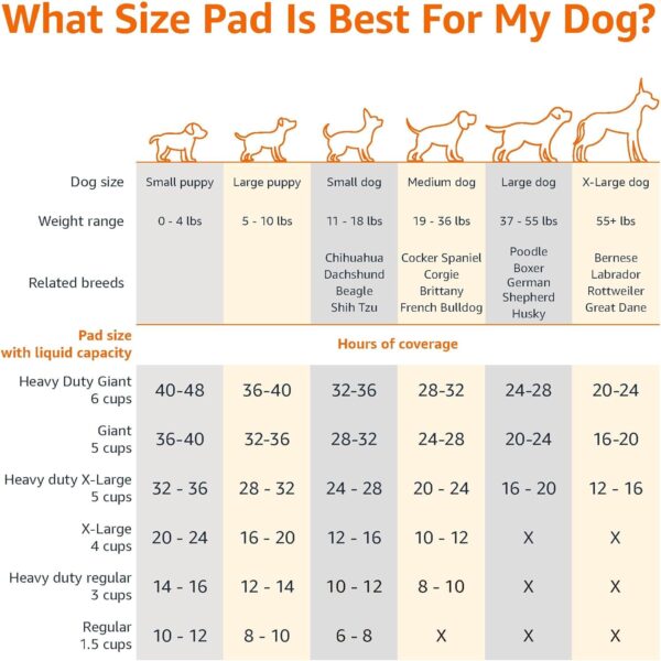 Amazon Basics Training Pads for Dogs and Puppies, Leak-Proof 5 Layer Design with Quick Dry Surface, Normal, Blue, 56 x 56 cm, Pack of 150