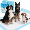 Ownpets 80 x 120 cm Large Dog Training Pads, XXL Pack of 20 Absorbent Dog Toilet Mat, Pee Pads, Pipi Mats for Large Dogs, Disposable Incontinence Pad, Quick Drying Surface, Blue
