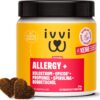 ivvi Allergy Immunity for Dogs - Against Allergies & Itching and Strengthening the Immune System - 60 Delicious Snacks (270 g) with Salmon
