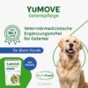 YuMOVE Green-lipped Mussel Dog Joint Tablets - 120 Tablets - For Older Dogs from 8 Years - Mobility and Joint Function - Joint Tablets Dog - For Dogs with Omega-3 and Vitamin E