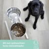 Kerbl Food Bar, Dog Feeding Bowl, Height Adjustable, Stainless Steel Bowls, 1800 ml, 2800 ml