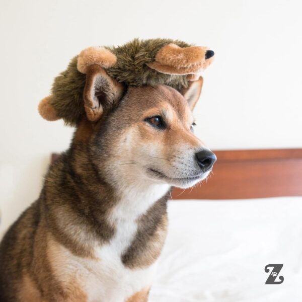 ZippyPaws Loopy - Hedgehog Dog Toy - Filling Free with 6 Squeakers, Durable Plush Toy for Small to Large Dogs, Interactive and Cuddly Toy for Pets