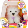81f4mWUFLeL._AC_SL1500_.jpg Little Live Pets My Really Real Puppy - Luna; Interactive Puppy; 60+ Sounds/Reactions; Realistic Look; 1 out of 72 Variations; Playset with Transport Box; Batteries Included; Ages 5+