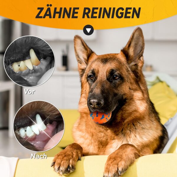 SUNNEKO Pack of 2 indestructible dog balls, tennis balls for dogs that chew aggressively, safer for the mouth, for large, medium, small puppies, training catch and throw, orange