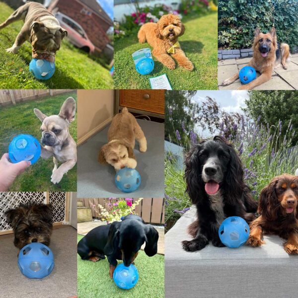LumoLeaf Dog Toy Ball Diameter 18 cm, Intelligence Toy with Adjustable Difficulties, Intelligent Games for Medium, Large Dogs, Dog Food Toy Dog Ball