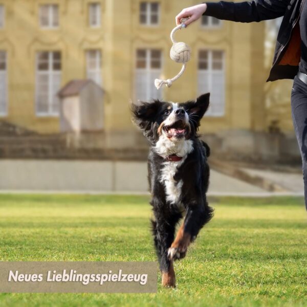 PIVEDOS Dog Toy - The Original Natural Cotton for Small and Large Dogs - For Puppy Education - Dog Balls, All Breed Sizes, Set of 6