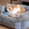 91jZdxTB9wL._AC_SL1500_.jpg Pet Supply Imports SnuggleSafe Pet Bed Microwave Heating Pad